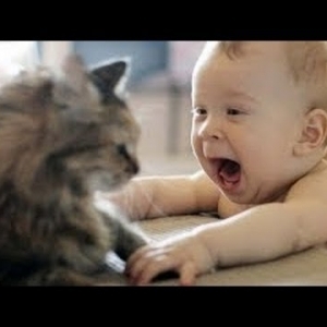 Babys Lachen hysterisch auf Katzen Kompilierung 2014 [NEU HD] - YouTube