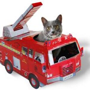 Feuerwehr-Katze.jpg