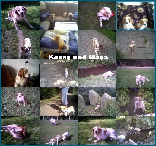 Kessy und Maya