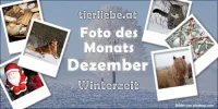 fdm_12dezember.webp fdm_12dezember.webp