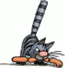 katze_066.gif katze_066.gif