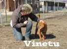 Vineto5.webp