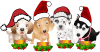 hunde-0030  1 advent 2014.png