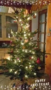Christbaum.webp