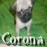 Corona