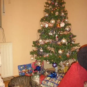 Fröhliche Weihnachten