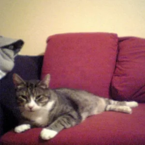 Mein Letztes Foto von Chicco