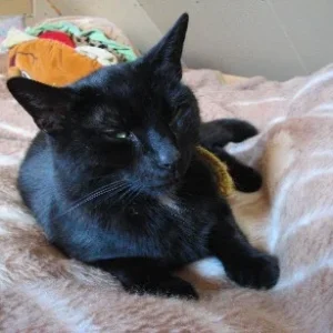 Nicht der Walter *g*