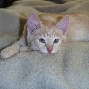 ...immer werde ich fotografiert.....