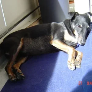 lass mich in ruhe, ich lass mich sonnen .......