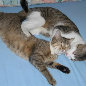 Bruder und Schwester