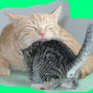 Graziella mit Papa Kronos