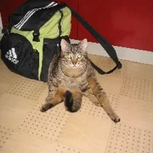 muß a´Paus machen...