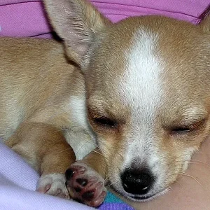 hmmmm ein gemüdliches Plätzchen