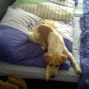 Maya will heia machen :-)