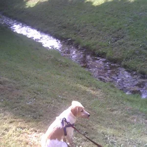 Soll ich etwa ins Wasser???