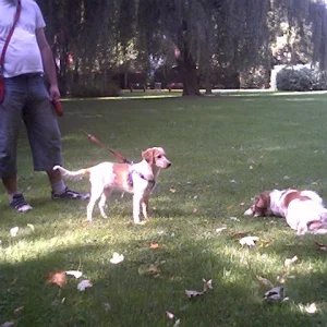 Was Kessy da treibt???