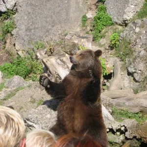 "So groß war der Fisch den ich gefangen habe"