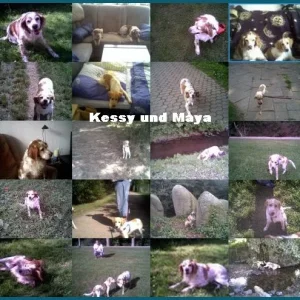 Kessy und Maya