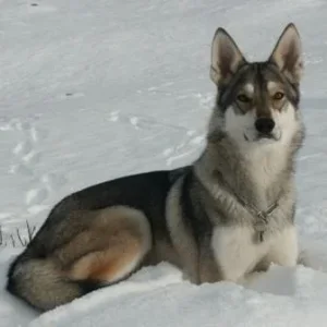 Kühles, festes Nass