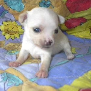 Jugend-Photo**gggggg**