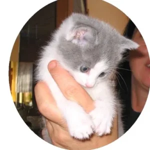 die Unschuld in "Person"...