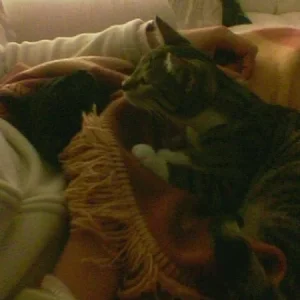 Schlap schlap die Erste...