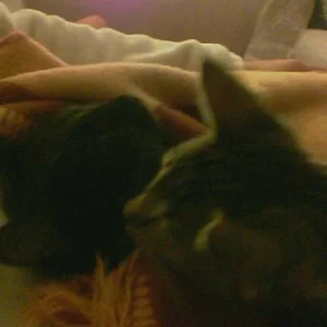 Schlap schlap die Zweite...