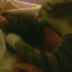 Schlap schlap die Dritte...