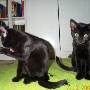 Große kleine Mäuse ;)