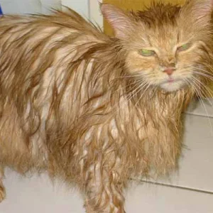 War dieses Bad denn wirklich notwendig?! *grrrr*