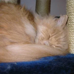 Platz ist in der kleinsten Hütte...