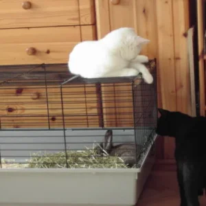 Mein neuer Schlafplatz