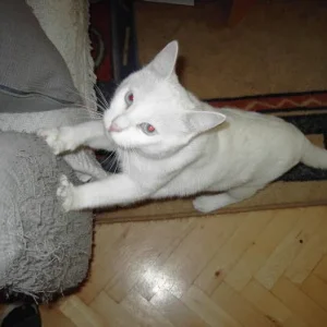 Du siehst mich eh nicht, oder?