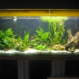 Das Süsswasserbecken