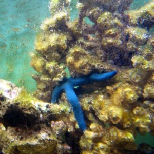 ich verzieh mich mal!