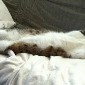 man lässt sichs gut gehen