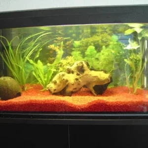 mein erstes Aquarium