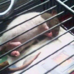 Mandy's tolle Schlafpositionen