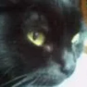 Meine Älteste, die Bärele