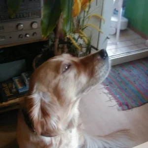 Sehr aufmerksam und braaaav