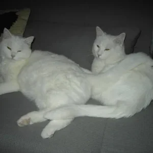 sind wir schön, oder was?