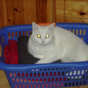 Du HATTEST mal frische Wäsche...