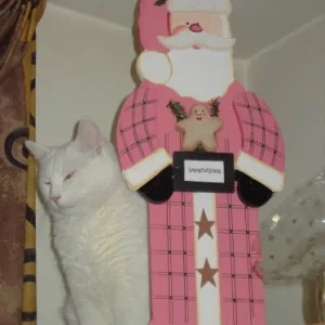 Watzlings Weihnachten