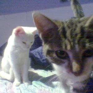 Was hast du da in deiner Hand??