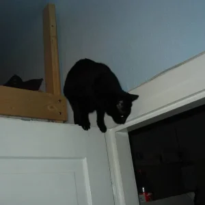 hoch oben komm ich her ...