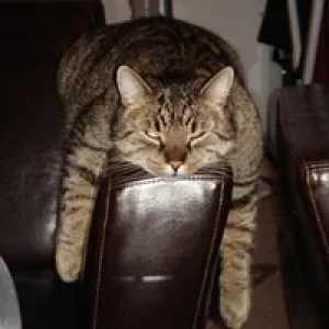 strizi, mein winterdepressivler....