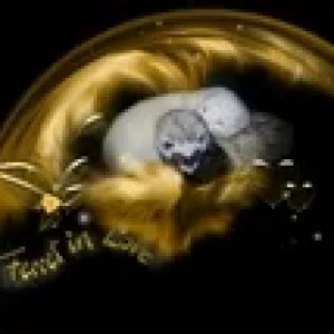 Fridolin u Peggy - das Liebespaar des Jahres 2005