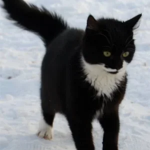 Kleiner Kerl ganz gross