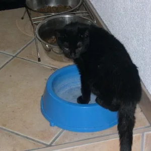 gibt's denn hier nichts zu trinken?